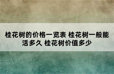 桂花树的价格一览表 桂花树一般能活多久 桂花树价值多少